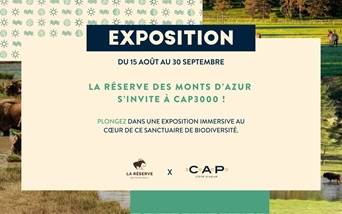 Exposition des Monts d'Azur